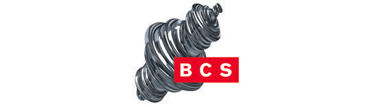 Logo B.C.S