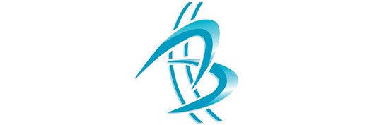Logo Bedouillat Sarl
