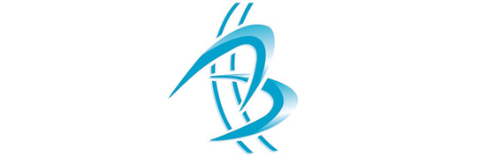 Logo Bedouillat Sarl