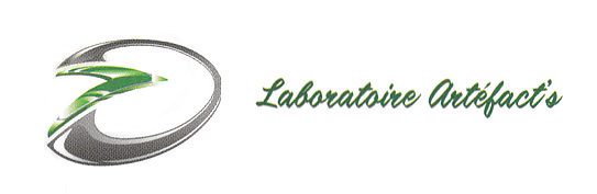 Logo Laboratoire Artéfact's