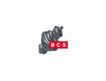 B.C.S