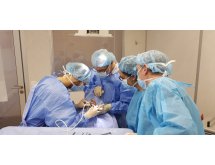 Formation Intensive en implantologie orale