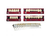 Dents artificielles
