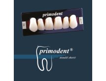 Dents artificielles