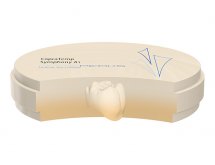 Disques polymères