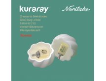 Disques zircone