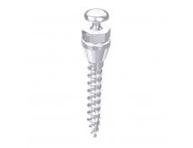 Mini-vis orthodontique