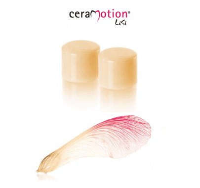 Céramo-céramique (lab)