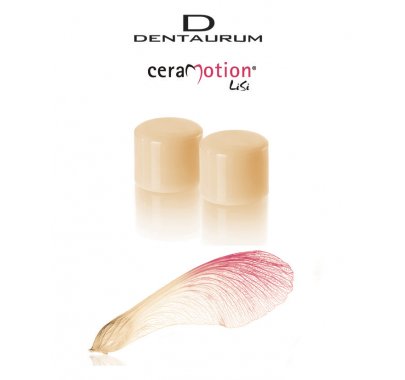 Céramo-céramique (lab)