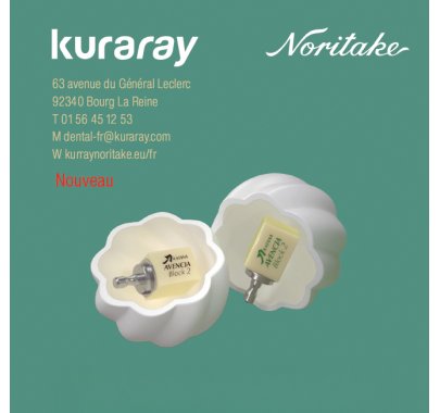 Disques zircone