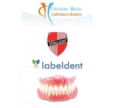 Prothèse conjointe composite